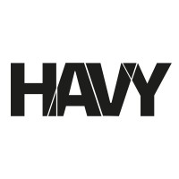 HAVY logo - Similar company to Ne-Web Ltd