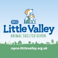 Rspca Little Valley Animal Shelter