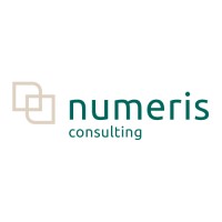 Numeris Consulting logo - Similar company to Paltron