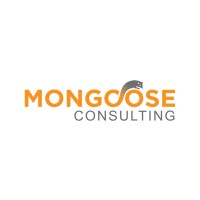 Mongoose Consulting
