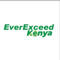 EverExceed Kenya logo - Similar company to Digital Edge