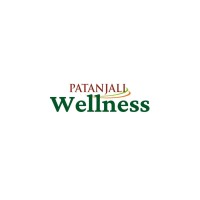 Patanjali Wellness Center logo - Similar company to Ecomstreet