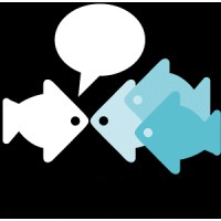 Spearfish, Inc. logo - Similar company to Pal Stats Ltd