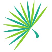 Palmetto Capital Group logo - Similar company to Wizard