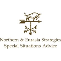 Northern & Eurasia Strategies Limited logo - Similar company to Haemochromatosis Uk