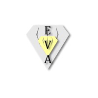 Executive Virtual Associate logo - Similar company to Mca Associate