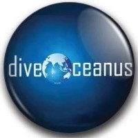 diveOceanus Maldives logo - Similar company to Conservation Diver