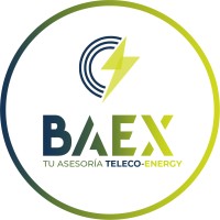 BAEX Asesoría logo - Similar company to Top Gear Mobility