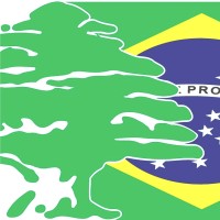 CCBL Câmara Brasil-Líbano logo - Similar company to Arca