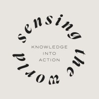 Sensing The World logo - Similar company to Return On Ideas