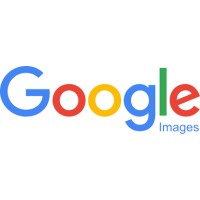 Funny video 24 logo - Similar company to Funny Video City