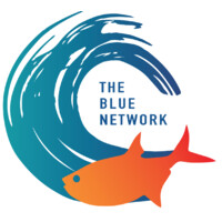 The Blue Network logo - Similar company to Vert D'Iris