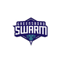 Greensboro Swarm logo - Similar company to Greensboro Complex & First Horizon Coliseum