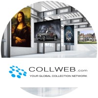 COLLWEB – Digital Collection Manager logo - Similar company to Data Solutions Consulting Llc