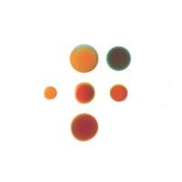 Groepspraktijk Fysiotherapie Deventer logo - Similar company to Centrum Evers B.V.