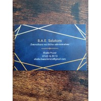 B.A.E. Solutions logo - Similar company to Ogea 12