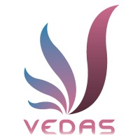Vedas International - Project Management Consultancy logo - Similar company to Jkv Global