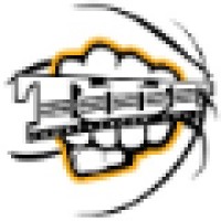 TFT Basketball Club & Academy logo - Similar company to Cargomax