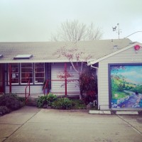 Castro Valley Companion Animal Hospital