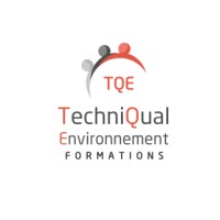 TECHNIQUAL ENVIRONNEMENT logo - Similar company to Answer Sécurité