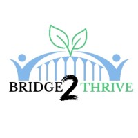 Bridge 2 Thrive logo - Similar company to Shemotion