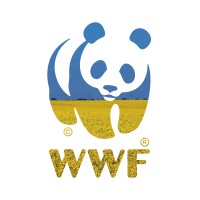 WWF-Ukraine logo - Similar company to Open Forum For Cso Development Effectiveness