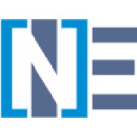 NetEmpire Technology Solutions Pvt Ltd logo - Similar company to Netempire Software Gmbh