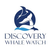 Discovery Whale Watch logo - Similar company to Springtide Whale Watching & Eco Tours