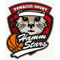 HammStars VeMaCon-Sport GmbH logo - Similar company to Pbmvisuals Gmbh