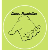 Dolon Foundation logo - Similar company to Dolon