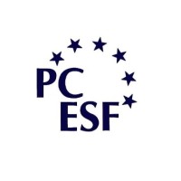 European School of Frankfurt Pupils' Committee logo - Similar company to Godot Kortárs Művészeti Intézet / Godot Institute Of Contemporary Art