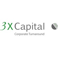3XCapital logo - Similar company to 3X Capital Llc