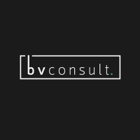 B.V. Consult logo - Similar company to Aldrin Agency