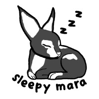 Sleepy Mara logo - Similar company to Fantastic Experience