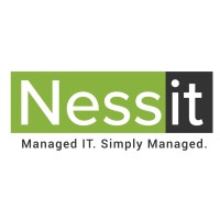 Nessit logo - Similar company to Galactic Systems