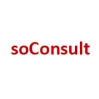 soConsult AG logo - Similar company to Bsr Eltec Ag