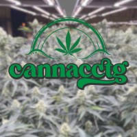 Cannacctg logo - Similar company to Isalsat.Com