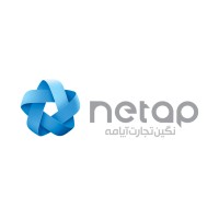 Netap Business Studio logo - Similar company to Pixelview.Io
