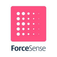 ForceSense B.V. logo - Similar company to Superseton