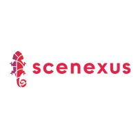 Scenexus logo - Similar company to Dutchbasecamp