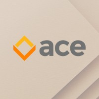 ACE - Designer de Solutions Carton logo - Similar company to Docubook