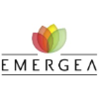 Emergea logo - Similar company to Emerge Queue