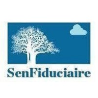 SEN FIDUCIAIRE logo - Similar company to Moca Compta
