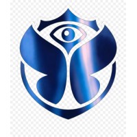 Tomorrowland Srl logo - Similar company to .W8V Ltd