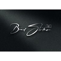 Brad Styles Media logo - Similar company to Dynamis Solutions