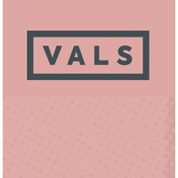 VALS, new orleans logo - Similar company to Thrive Foundation