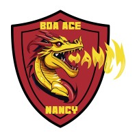 BDA ACE Nancy logo - Similar company to Bde Staps Poitiers