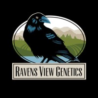Ravens View Genetics logo - Similar company to High Ny