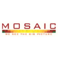 Mosaic Business Solutions
