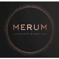 Merum Technologies logo - Similar company to Biocircular Loop
